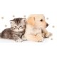 Ręcznik plażowy bawełniany 70x140 Pies i Kot RNL173036-R Ręcznik z psem i kotem Ręcznik z nadrukiem Ręcznik bawełniany