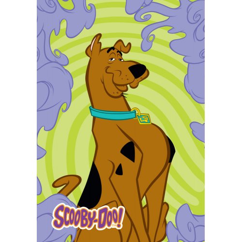 Ręcznik dla Dzieci 40x60 FROTTE Scooby-Doo