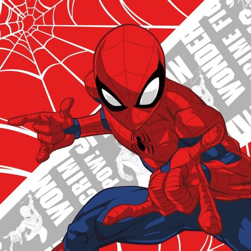 Magiczny Ręcznik dla Dzieci 30x30 Spider-Man 030