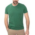 T-shirt męski T-PALMS - zielony
