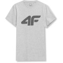 T-shirt męski 4F AW23TTSHM0877 - szary melanż